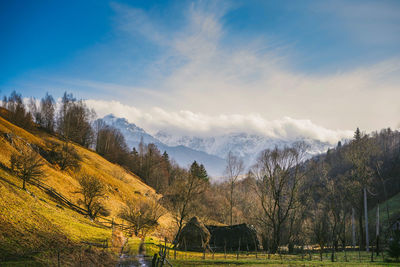 Scenic view of field against sky