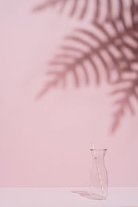 Conceptual summer shot of an empty glass drink with straw placed against pink background and plant shadow