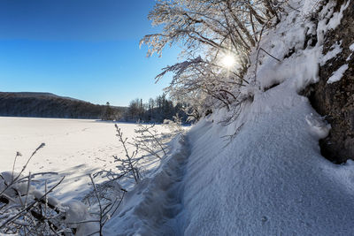 Trees on snow covered field against sky