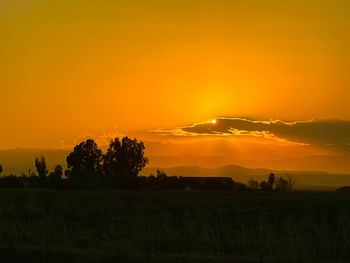 Silhouette trees on field against orange sky