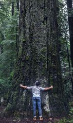 Man standing on tree trunk in forest