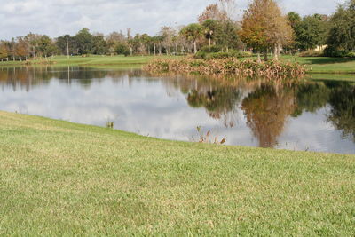 Scenic view of lake against sky