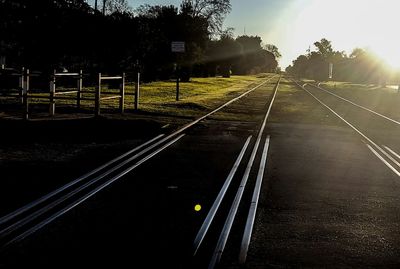 Railroad tracks amidst trees against sky