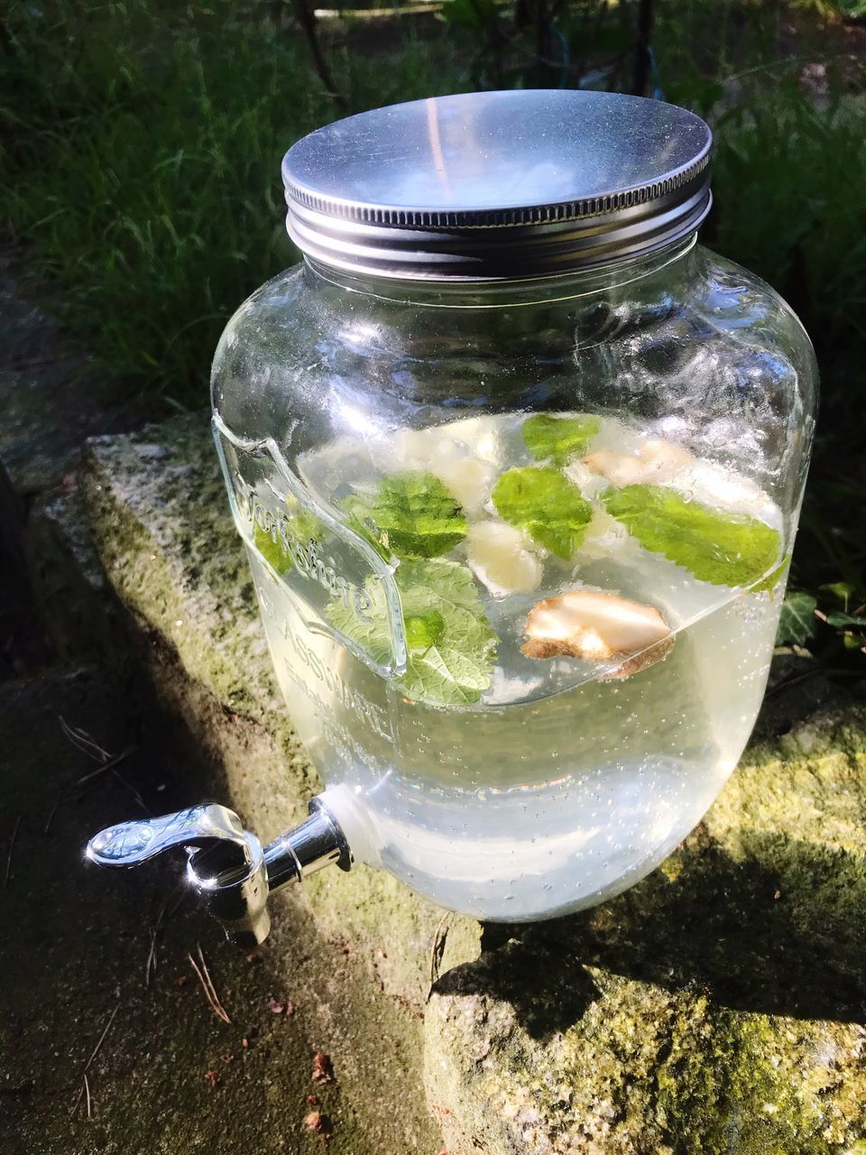 CLOSE-UP OF FISH IN JAR AT WATER