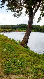 Scenic view of calm lake