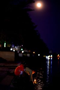 Close-up of illuminated tree at night