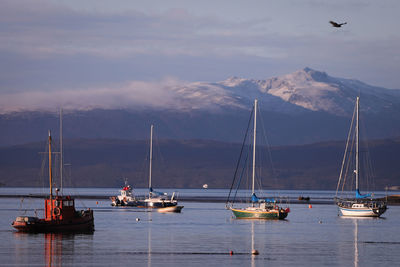 Sailboats sailing in sea against sky