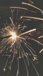 Firework display at night