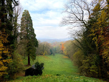 Scenic view of forest against sky during autumn