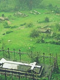 High angle view of trees on field