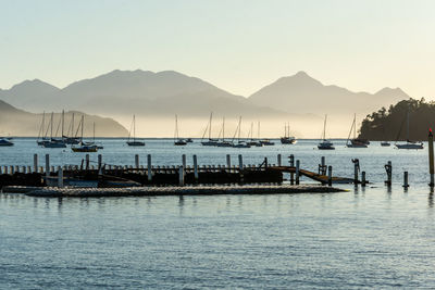 View of boats in marina