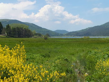 Scenic view of grassy field against cloudy sky