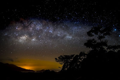 Low angle view of star field against sky at night