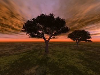Silhouette of trees against dramatic sky