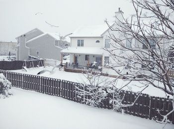 Snow covered trees in winter