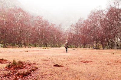 Man standing amidst trees against sky during autumn