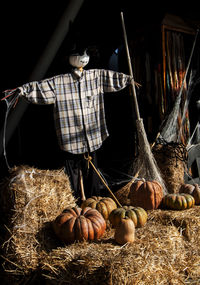 Low angle view of man standing by pumpkins in market