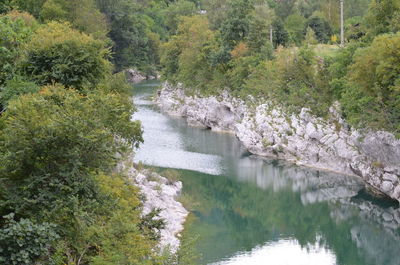 High angle view of stream amidst trees