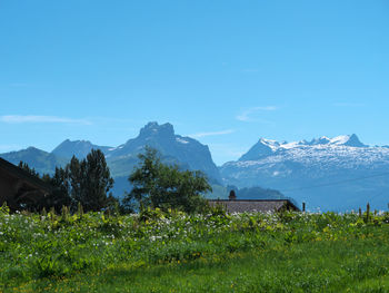 Scenic view of field and mountains against blue sky