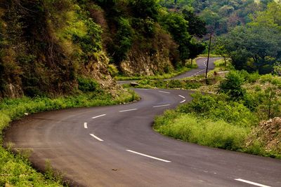 Empty road amidst trees in city