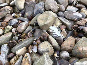 Full frame shot of pebbles on beach