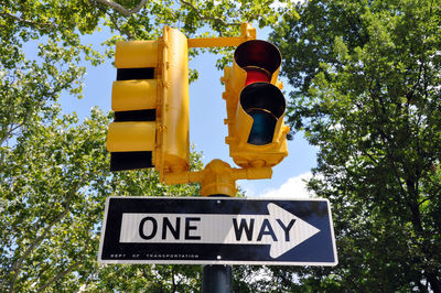 Low angle view of stoplight against trees