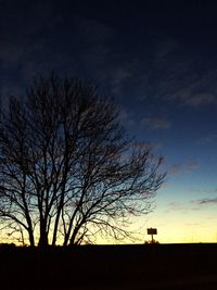 Low angle view of silhouette tree against sky at sunset