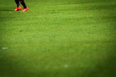 Trees on grassy field