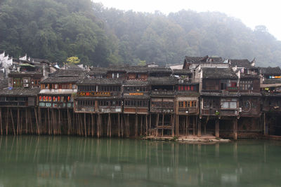 Houses by river against trees