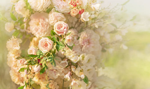 Close-up of white rose bouquet