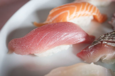 Close-up of sushi in +plate
