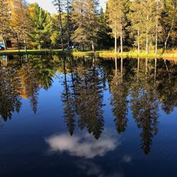 Reflection of trees in lake against sky