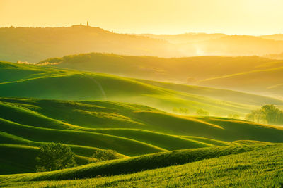 Scenic view of field against sky during sunset