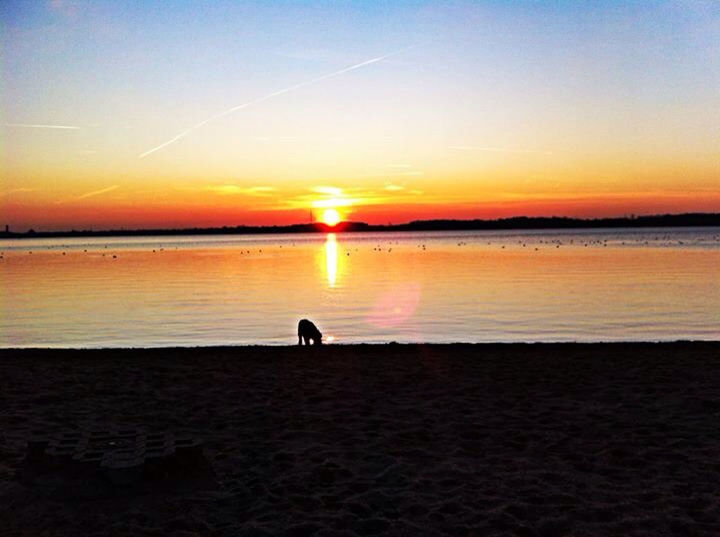 sunset, beauty in nature, sun, silhouette, sea, scenics, nature, water, beach, tranquil scene, orange color, sky, one person, tranquility, idyllic, reflection, leisure activity, real people, outdoors, vacations, travel destinations, one animal, women, horizon over water, wave, one woman only, adult, people