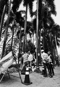Rear view of people sitting on seat in forest