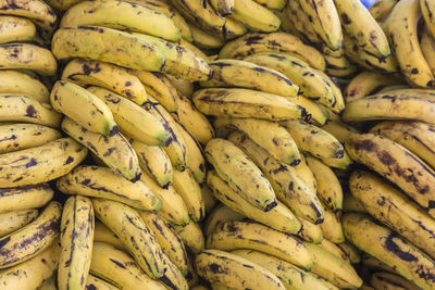 Full frame shot of bananas