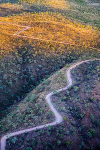 High angle view of road amidst trees in forest