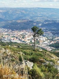 High angle shot of townscape