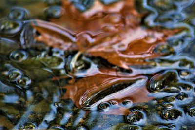 Full frame shot of raindrops on water