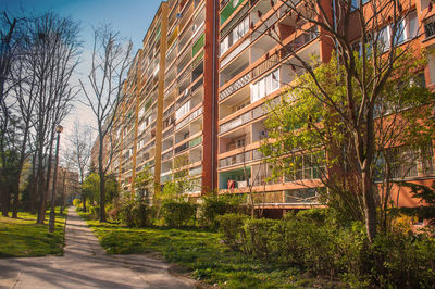 Road by trees and building against sky