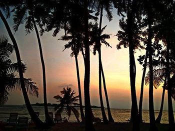 Silhouette of palm trees at sunset