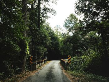 Road amidst trees in forest