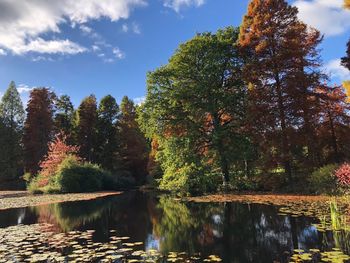 Trees by lake against sky during autumn