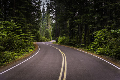 Surface level of curved road along trees