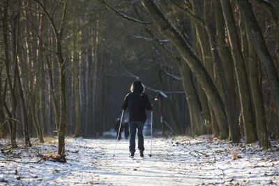 Full length rear view of man walking in forest