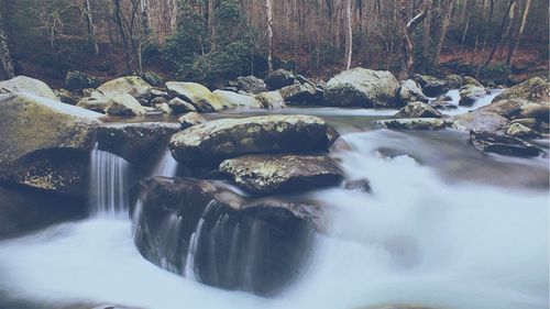 Scenic view of waterfall in forest