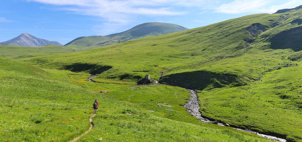 landscape