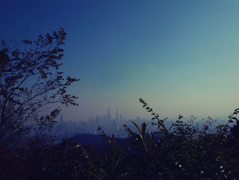 Low angle view of silhouette trees against clear sky