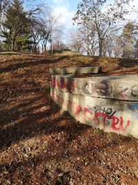 Graffiti on wall by trees against sky