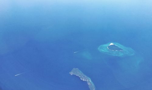 Close-up of jellyfish swimming in sea